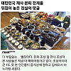 대한민국 제사 문화를 뒤집어 놓은 댓글