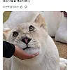 해외에서 화제인 한국 동물원