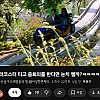 롤러코스터타고 줌회의를 한다면 눈치챌까?