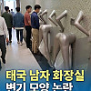 태국 남자 화장실 변기 모양 논란 ㄷㄷ
