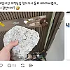 배달시킨 집 문짝 짱돌로 내려치는 배달원