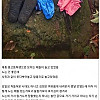 미성년자들이랑 계곡에서 알몸파티한 썰.jpg