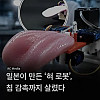 최근 일본에서 인간의 혀를 완벽히 재현한 로봇 제작