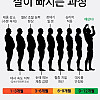 다이어트할때 살이 빠지는 과정