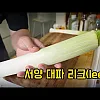 웬만한 사람보다 크게 자라는 대파