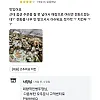 극단적인 푸라닭 사장님
