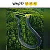 외국에서 유행했던 Why 밈