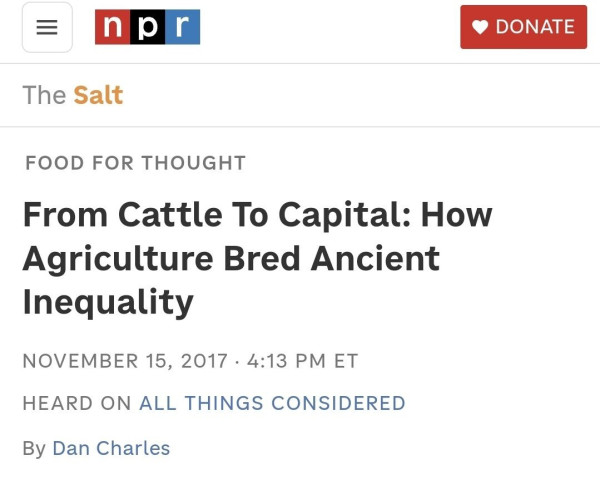 btd440bc177d2b37eacc4f35c00309c341.jpg