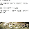 왜 민물고기 회는 안 되는데 바닷고기는 괜찮을까?