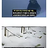 남극에 15마리 개를 버리고 간 일본