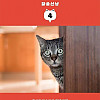 알아두면 쓸모는 없지만 신기한 고양이 TMI